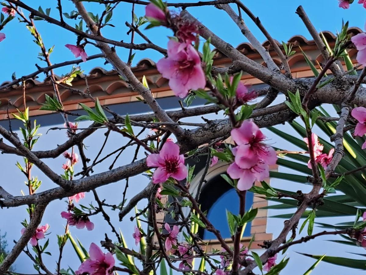 Maison Les Agapanthes Villeneuve-lès-Béziers エクステリア 写真