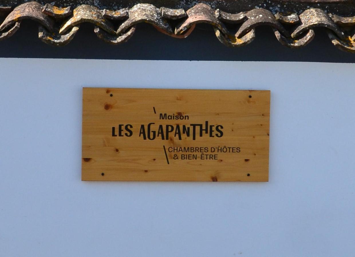 Maison Les Agapanthes Villeneuve-lès-Béziers エクステリア 写真